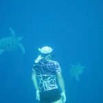 Sunardi_Eddie_Green_Sea_Turtles_Bunaken_Marine_Park_Sulawesi