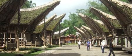 Kete'Kesu_Traditional House_Toraja_Sulawesi