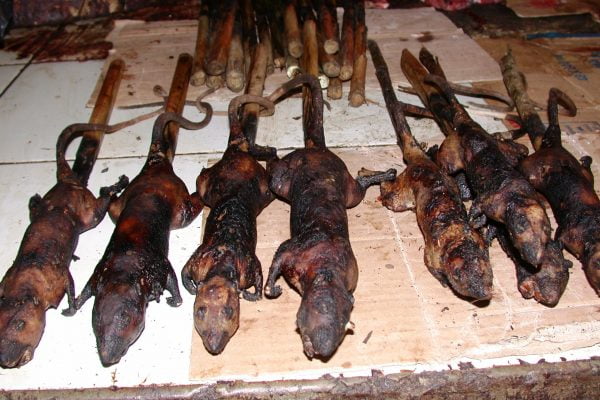 Jungle_Rat__Tomohon_Market