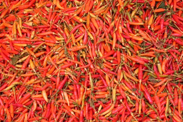 Local_Chili