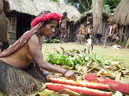 Papuan_Woman_Prepares_for_Harvest_Feast