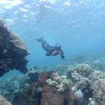 Snorkeler_Shooting_Photos_Siladen_Reef