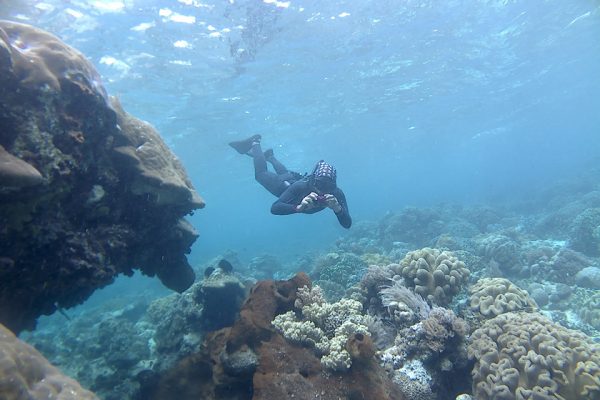 Snorkeler_Shooting_Photos_Siladen_Reef