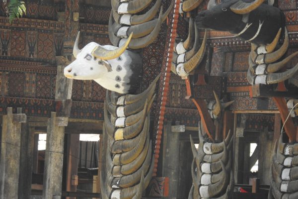 Tongkonan_House-Traditional_House_of_Toraja