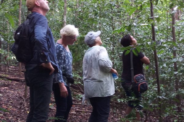 Tangkoko_Nature_Reserve_Bitung_North_Sulawesi
