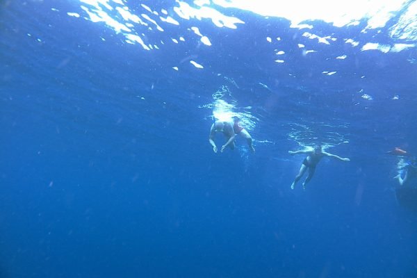 Snorkeling_Lekuan_One_Bunaken_Marine_Park