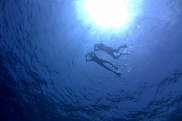 Snorkeling_Lekuan_One_Bunaken_Marine_Park