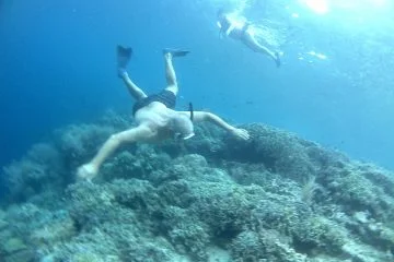 Snorkeling_Bunaken_Reef_Bunaken_Marine_Park