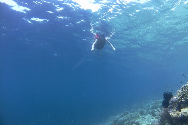 Snorkeling_Bunaken_Marine_Park_North_Sulawesi