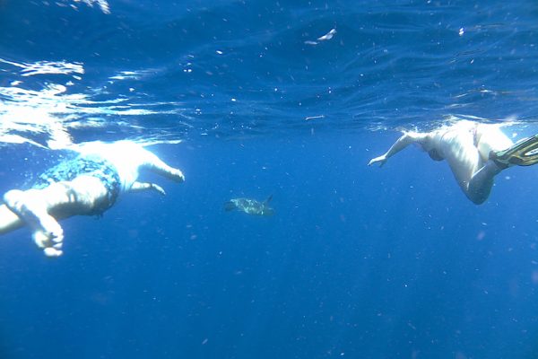 Snorkelers_Lekuan_One_Bunaken_Marine_Park