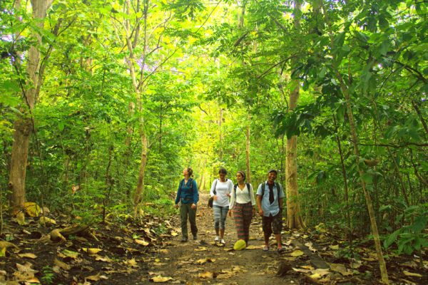 Jungle_Trip_Tangkoko_Nature_Reserve_Bitung_North_Sulawesi