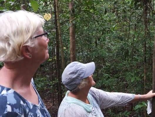 Tangkoko_Nature_Reserve_Bitung_North_Sulawesi