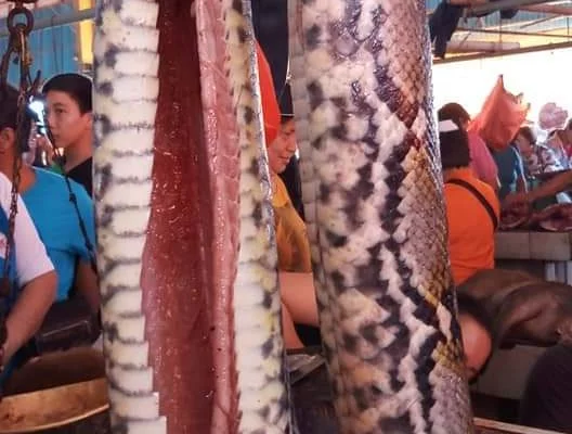 Extreme_Market_Tomohon_North_Sulawesi