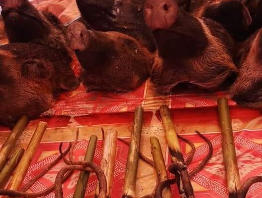 Extreme_Market_Tomohon_North_Sulawesi