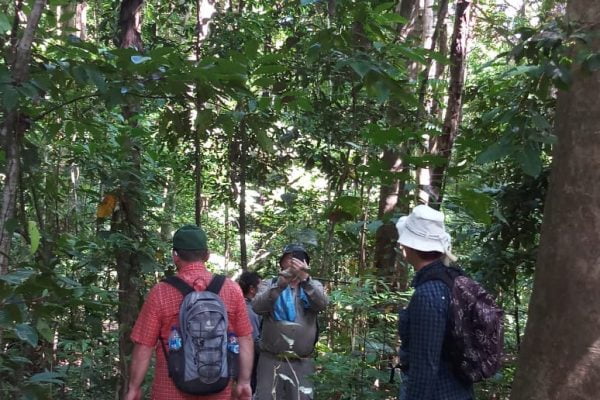 Jungle_Trip_Tangkoko_Nature_Reserve_Bitung_North_Sulawesi