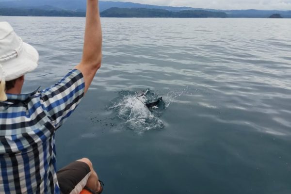 Dolphin_Tour_Batuputih_Bitung_North_Sulawesi