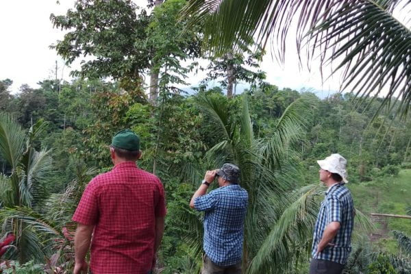 Birding_Temboan_Hill_Tangkoko_Nature_Reserve_Bitung_North_Sulawesi