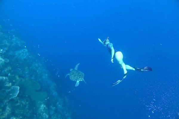 Swimming_with_Turtle_Benjamin_Midren_and_Friends_Siladen